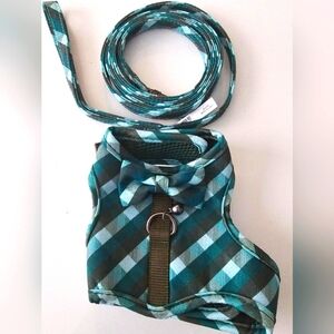 Kitten Harness/Leash Combo